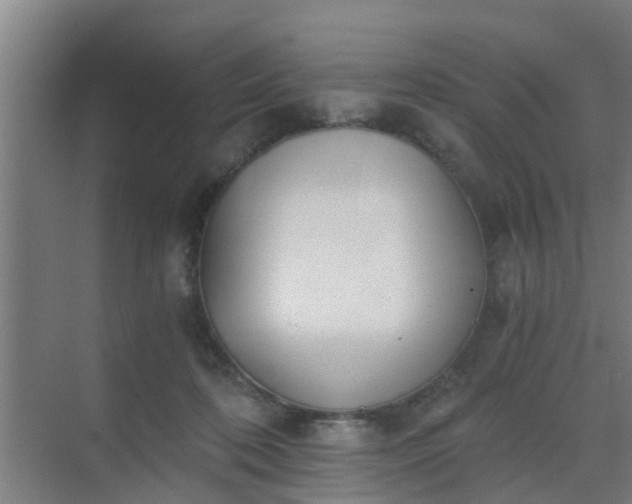 X0000069800316200605261729