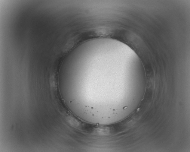 X0000069800317200605261729