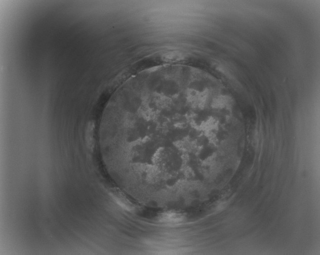 X0000069800319200605261729