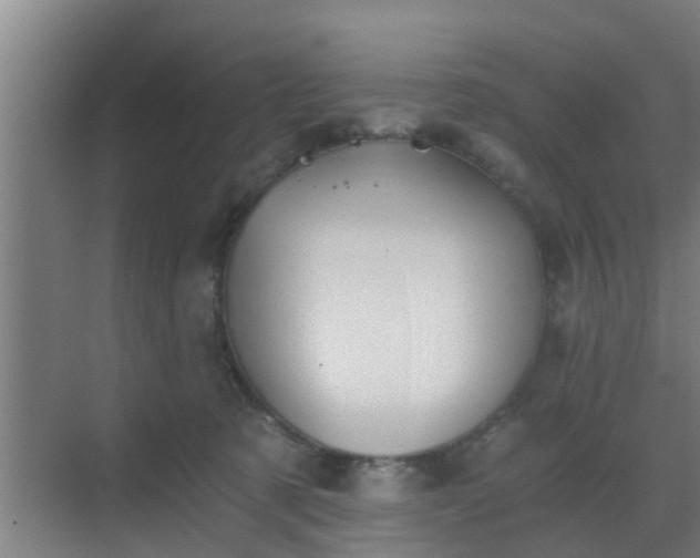 X0000069800321200605261729