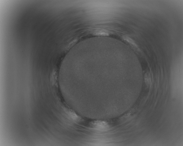 X0000069800322200605261729