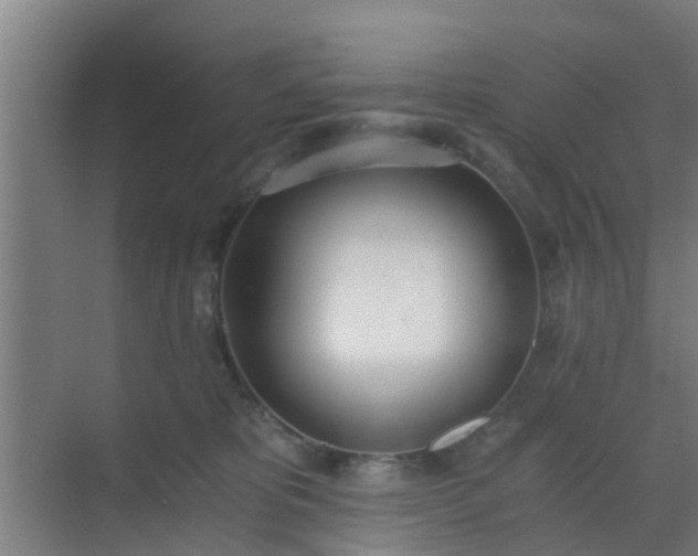 X0000069800325200605261729