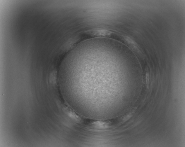 X0000069800326200605261729