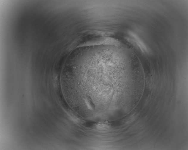 X0000069800327200605261729