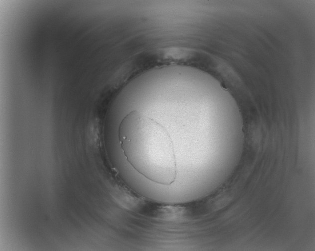 X0000069800328200605261729