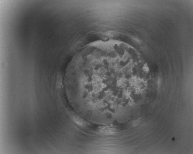 X0000069800331200605261729