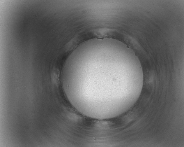 X0000069800332200605261729