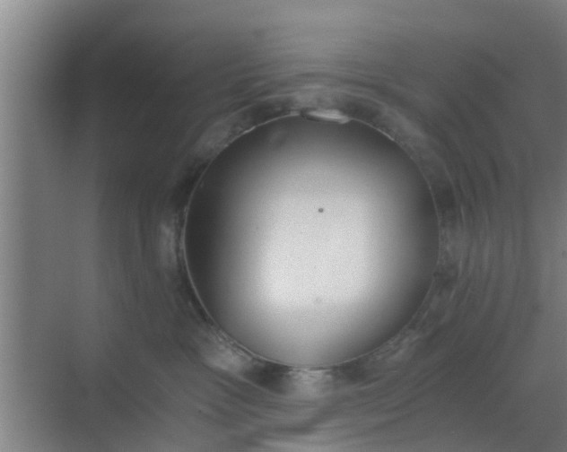 X0000069800333200605261729