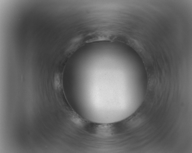 X0000069800335200605261729