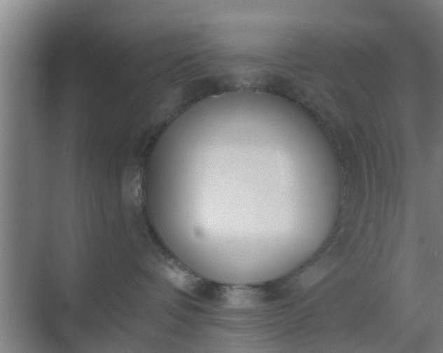 X0000069800336200605261729