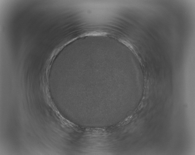 X0000069800337200605261728