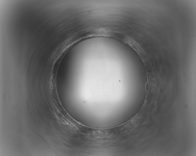 X0000069800338200605261728