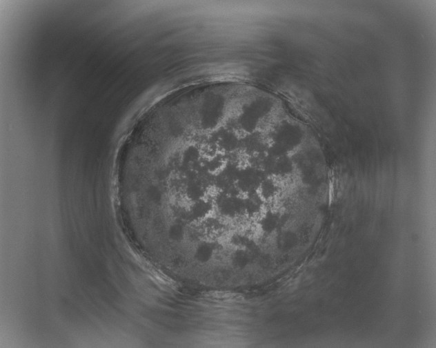 X0000069800339200605261728