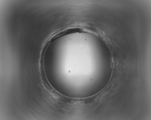 X0000069800340200605261728