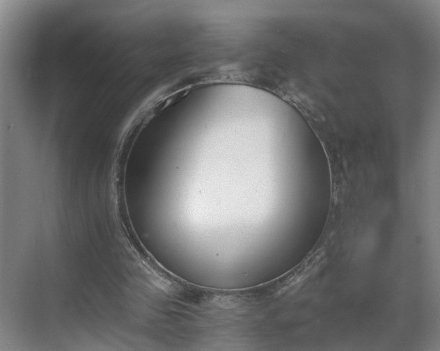 X0000069800341200605261728