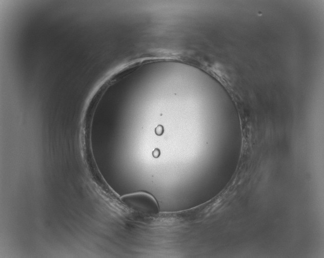 X0000069800342200605261728