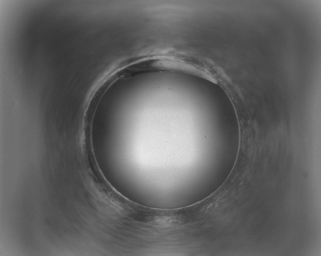 X0000069800344200605261728