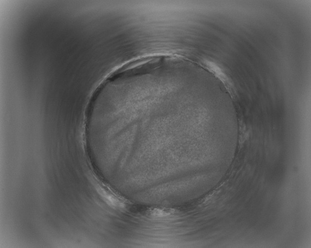 X0000069800346200605261728