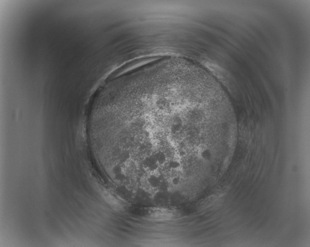 X0000069800347200605261728