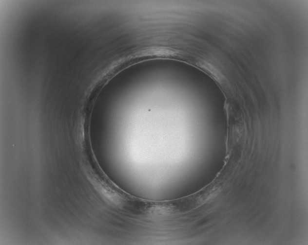 X0000069800350200605261728