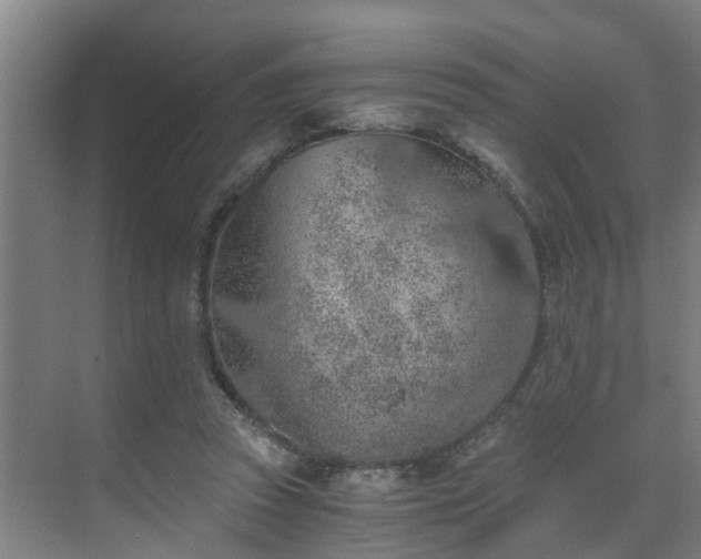 X0000069800353200605261728