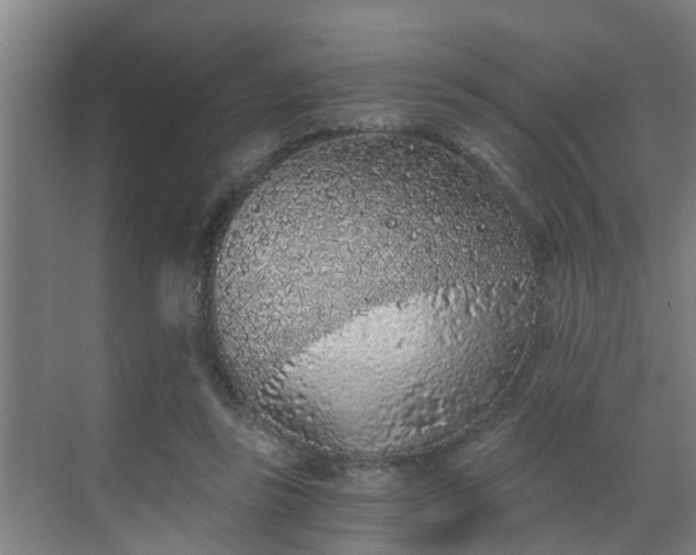 X0000069800355200605261728