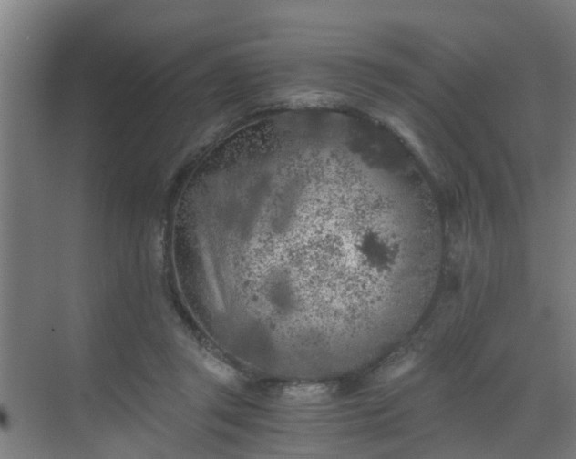 X0000069800357200605261728