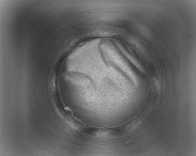 X0000069800358200605261729