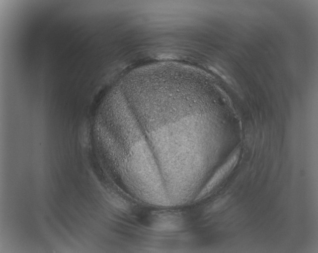 X0000069800359200605261729