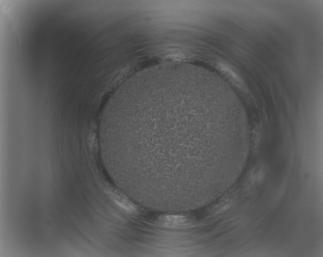 X0000069800361200605261729