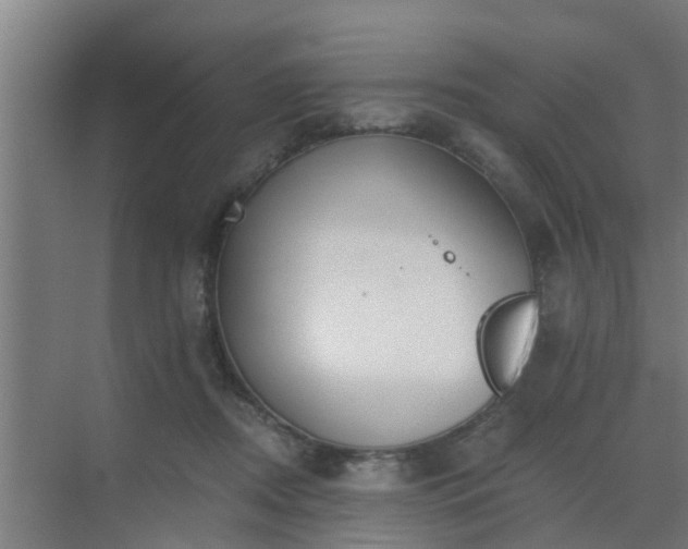 X0000069800362200605261729