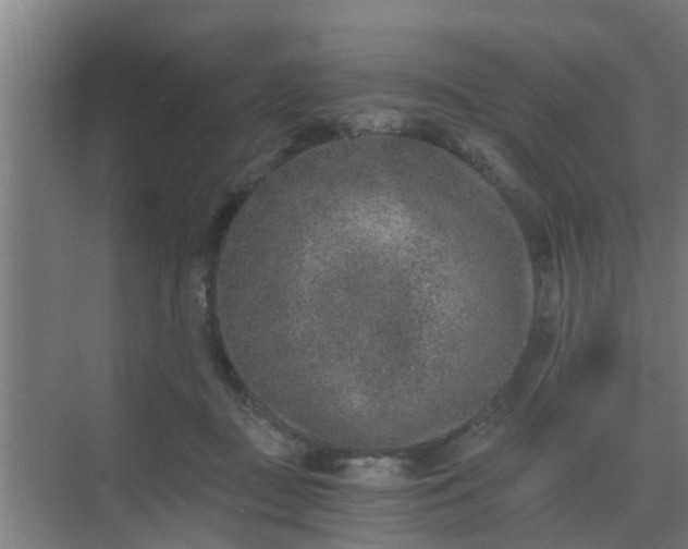 X0000069800363200605261729