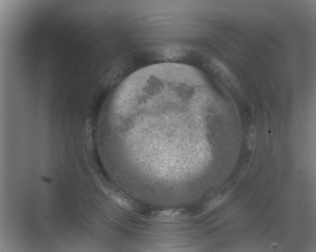 X0000069800366200605261729