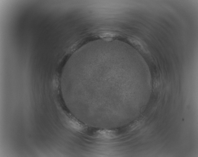 X0000069800367200605261729