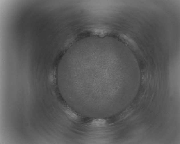 X0000069800369200605261729