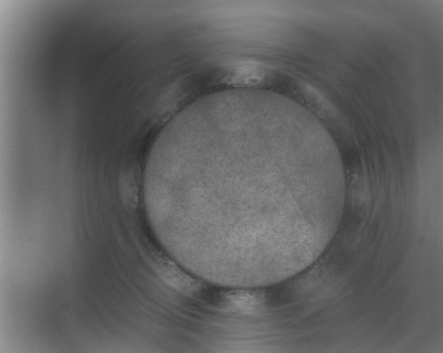 X0000069800370200605261729