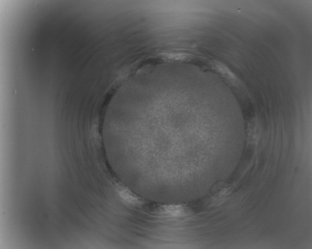 X0000069800377200605261729