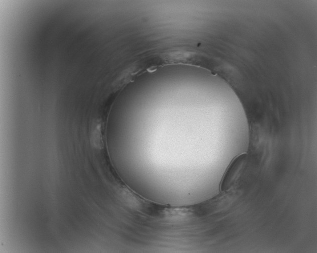 X0000069800378200605261729