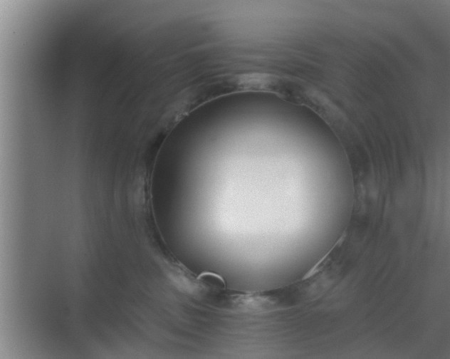 X0000069800379200605261729