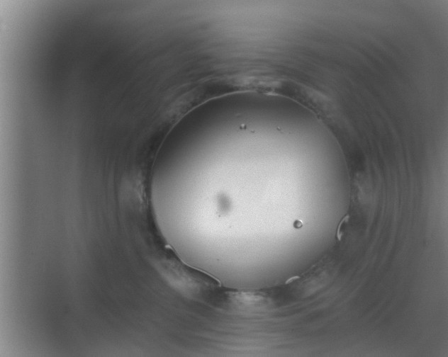 X0000069800380200605261729