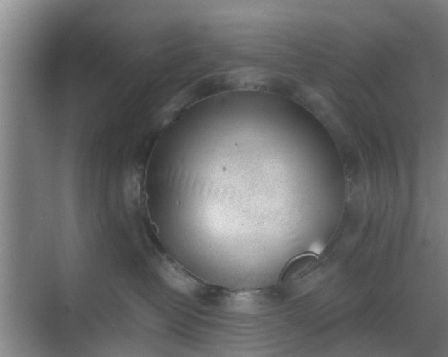 X0000069800382200605261729