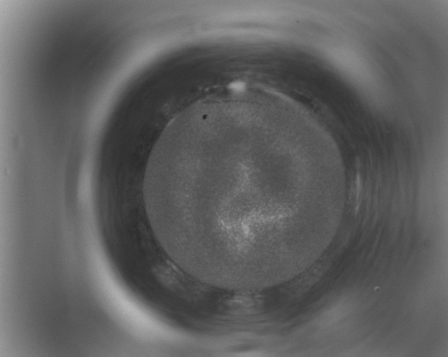 X0000069800383200605261729