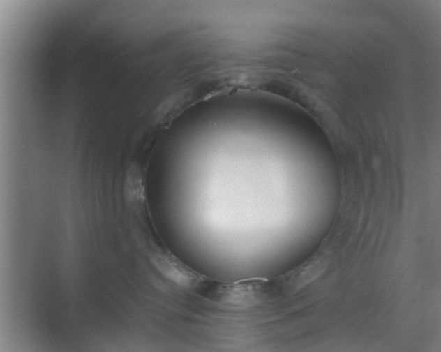 X0000069800384200605261729