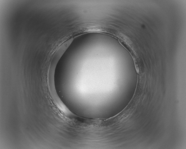 X0000069800385200605261728