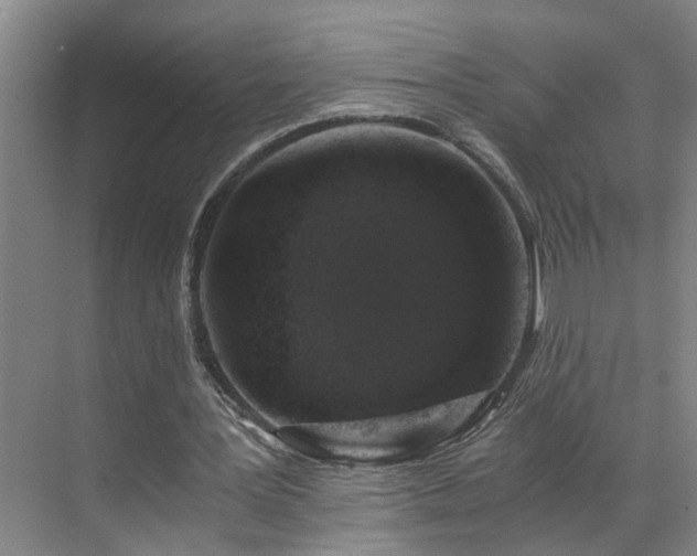 X0000069800387200605261728