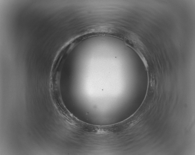 X0000069800388200605261728