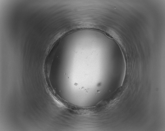 X0000069800389200605261728