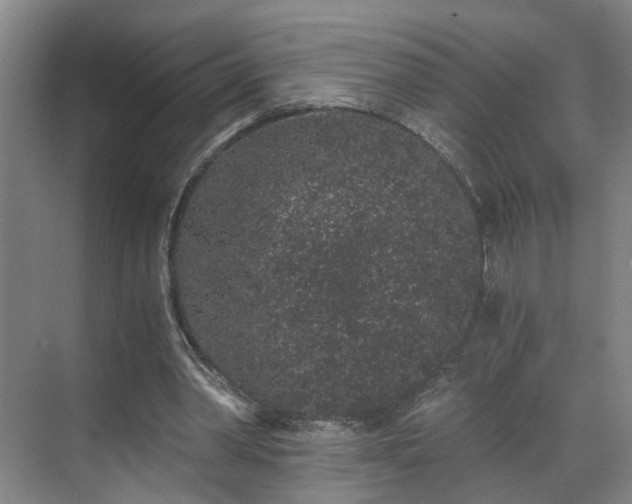 X0000069800390200605261728