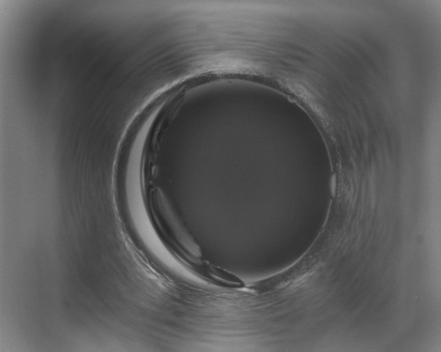 X0000069800391200605261728