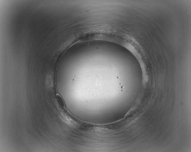 X0000069800393200605261728